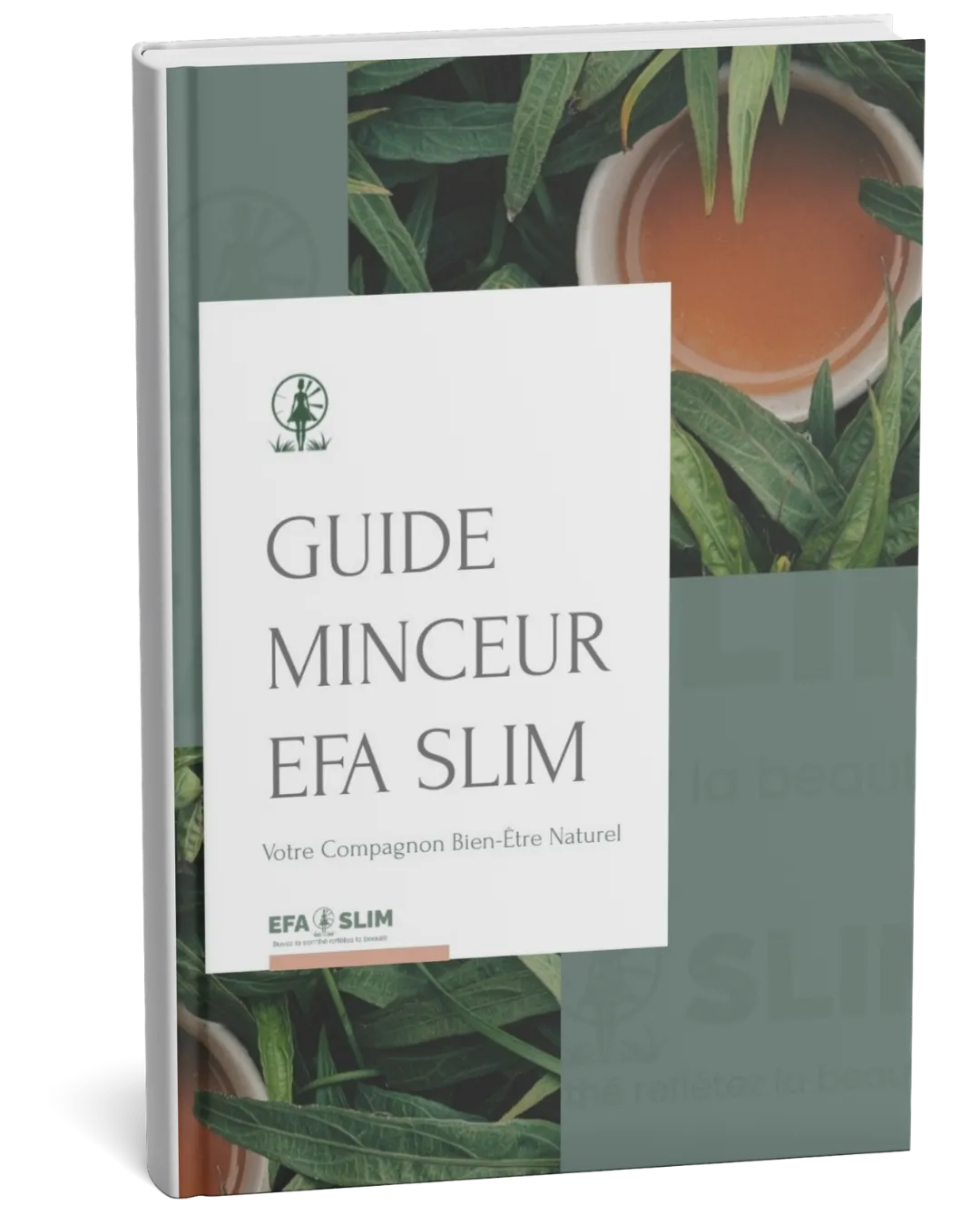 GUIDE MINCEUR EFA SLIM